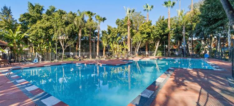 贝克斯菲尔德中心贝斯特韦斯特SureStay酒店(SureStay by Best Western Bakersfield Central)图片