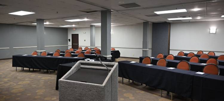 DFW机场中庭套房酒店(Atrium Hotel and Suites DFW Airport)图片