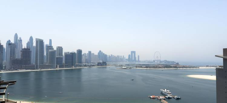529 Seven Palm图片