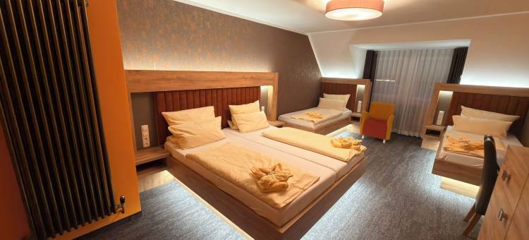 瑟勒海德柯尼格酒店(Heidekönig Hotel Celle)图片