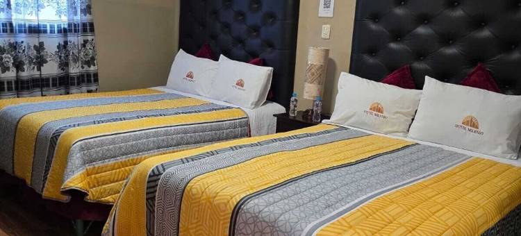 米林尼奥酒店(Hotel Milenio Nanacamilpa Tlaxcala)图片