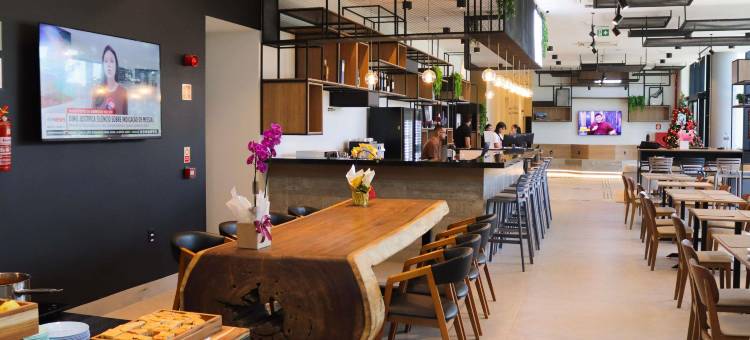 东普里马韦拉宜必思酒店(2025 年 12 月开业)(Ibis Primavera Do Leste)图片