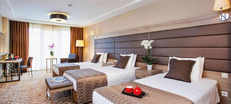 阿米克节庆酒店(Hotel Amic Gala)图片