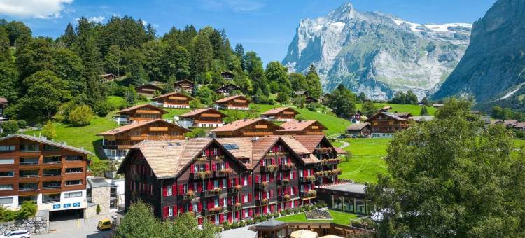 施瓦茨霍夫浪漫酒店(Romantik Hotel Schweizerhof)图片