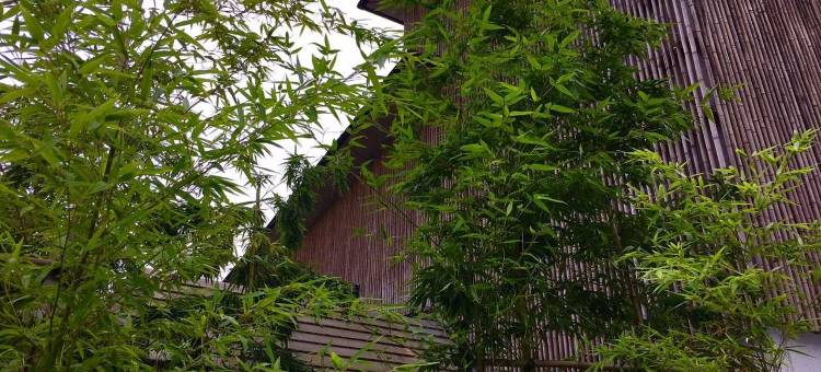 玉之汤日式旅馆(Ryokan Tamanoyu)图片