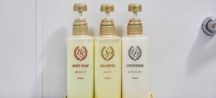 高崎海运来酒店(Hotel Sealuck Pal Takasaki)图片