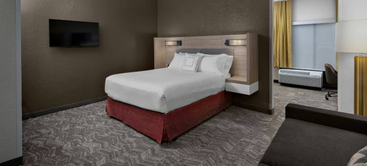 休斯敦霍比机场SpringHill Suites酒店(SpringHill Suites Houston Hobby Airport)图片