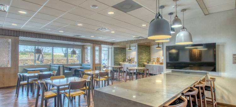 阿普尔顿万枫酒店(Fairfield Inn & Suites Appleton)图片