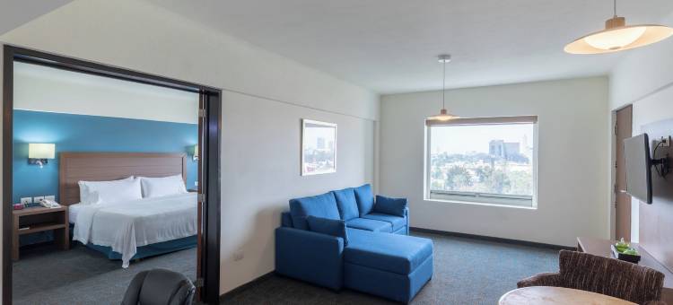 Holiday Inn 瓜达拉哈拉(Holiday Inn GUADALAJARA EXPO by IHG)图片