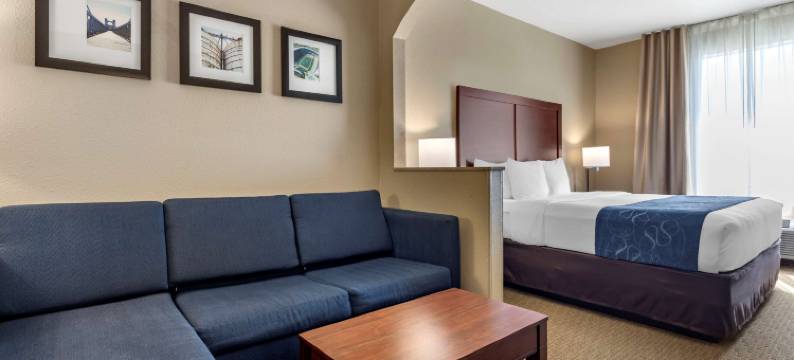 韦科舒适套房酒店-近大学区(Comfort Suites Waco Near University Area)图片