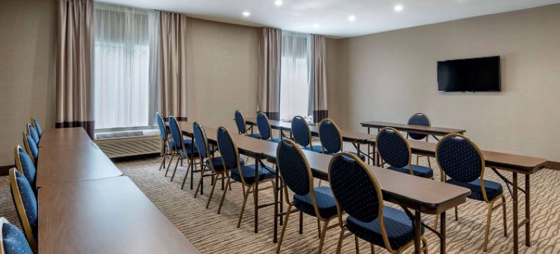 奥本I-69附近舒适套房酒店(Comfort Suites Auburn Near I-69)图片