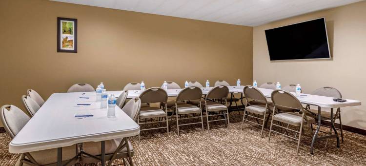 帕迪尤卡I-24舒适酒店(Comfort Inn Paducah I-24)图片