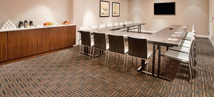 纽约中央公园南中城西区希尔顿花园酒店(Hilton Garden Inn New York Central Park South-Midtown West)图片