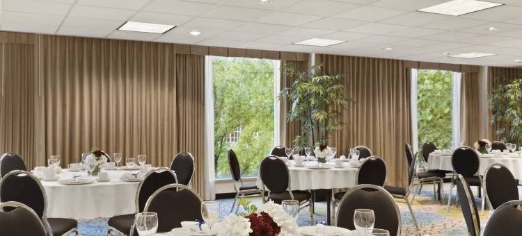 温哥华市区希尔顿欢朋套房酒店(Hampton Inn & Suites, by Hilton - Vancouver Downtown)图片