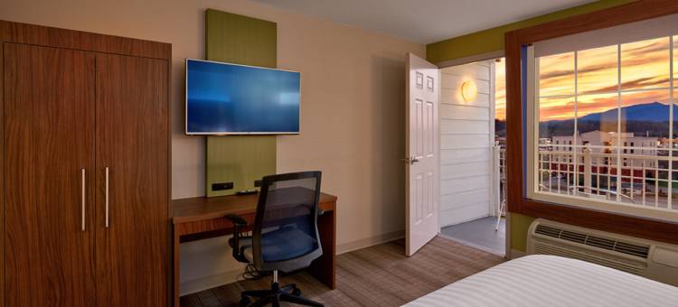 洲际酒店集团智选假日套房鸽子谷塞维尔维尔(Holiday Inn Express & Suites Pigeon Forge - Sevierville)图片