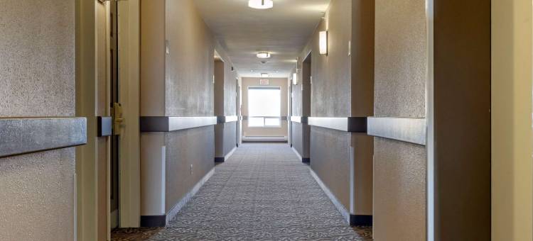 舒适酒店(Comfort Inn)图片