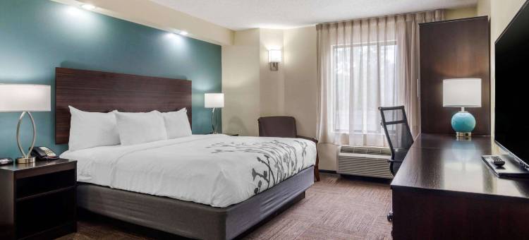 亚特兰大马里埃塔舒适酒店(靠近棒球场/购物中心)(Comfort Inn Marietta-Atlanta Near Ballpark-Galleria)图片