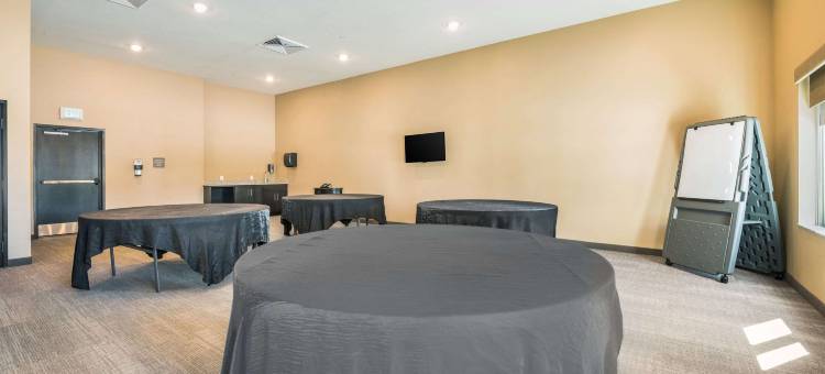 哥伦布玛丽斯维尔西北舒适套房酒店(Comfort Suites Marysville Columbus - Northwest)图片