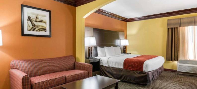 克鲁特杰克森湖舒适全套房酒店(Comfort Suites Lake Jackson Clute)图片