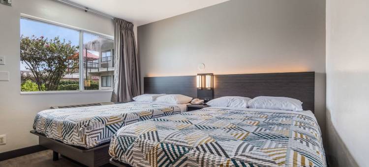 克利奇站6号汽车旅馆 - 布莱恩(Motel 6 College Station, TX - Bryan)图片