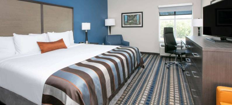 科珀斯克里斯蒂蔚景温德姆酒店(Wingate by Wyndham Corpus Christi)图片