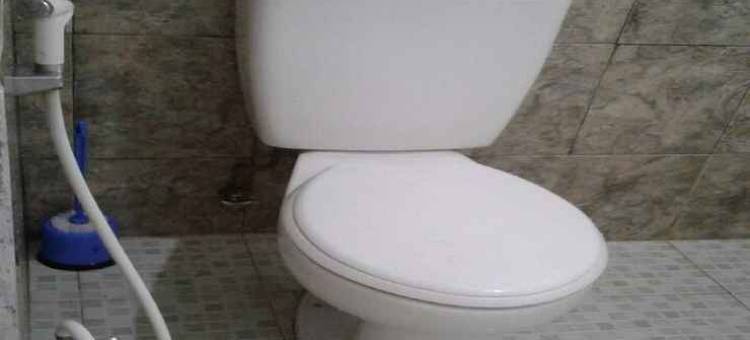 Villa Kota Bunga Dahlia图片