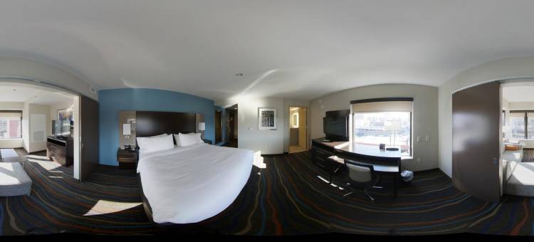 假日套房酒店-查塔努加市区(Holiday Inn & Suites Chattanooga Downtown)图片