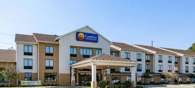 舒适套房酒店(Comfort Inn & Suites)图片