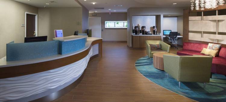 亚特兰大阿尔普哈雷塔万豪SpringHill酒店(SpringHill Suites Atlanta Alpharetta)图片