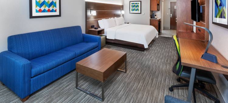 智选假日套房酒店拉斐特南(Holiday Inn Express & Suites Lafayette-South)图片