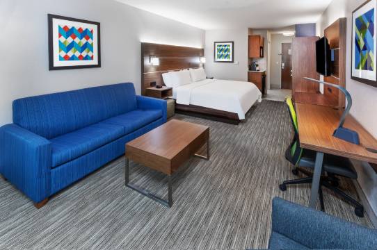 智选假日套房酒店拉斐特南(Holiday Inn Express & Suites LAFAYETTE-SOUTH by IHG)