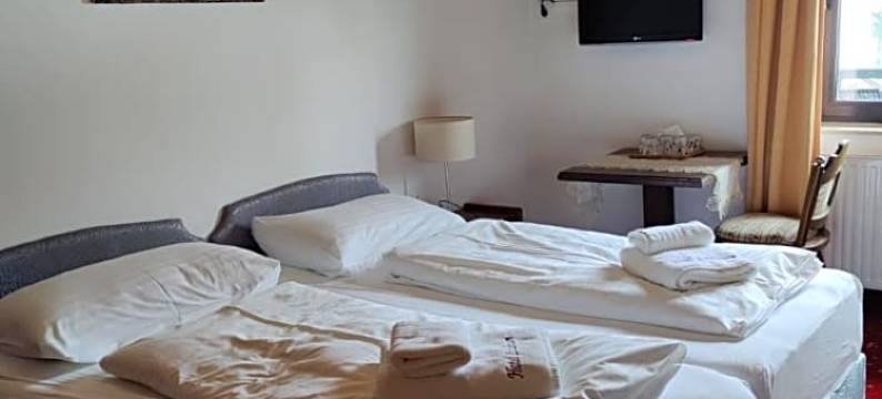 巨龙酒店(Hotel Lindwurm)图片