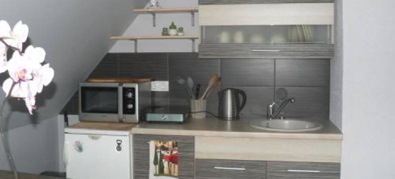 博德尼基宾馆(Guest House Podnieki)图片