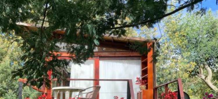 度假屋(Casa en El Arbol)图片