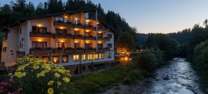 萨克曼徒步酒店(Sackmann Wanderhotel)图片