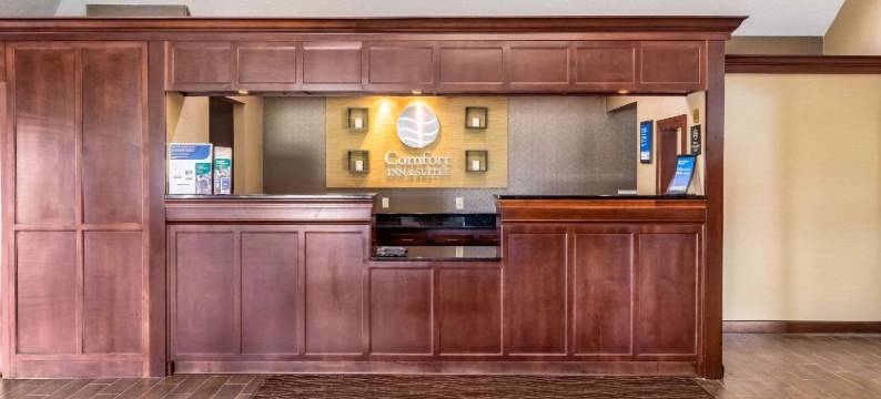 辛辛那提东门舒适套房酒店(Comfort Inn & Suites Cincinnati Eastgate)图片