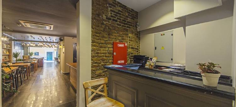 美罗迪贾拉塔大楼酒店(Meroddi Galata Mansion)图片