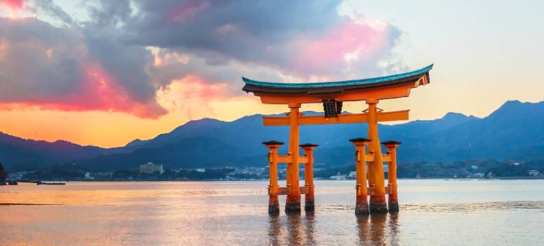 宫岛珊瑚酒店(Miyajima Coral Hotel)图片