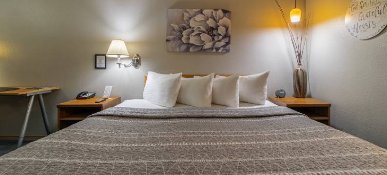 科达伦城市旅馆度假村(Resort City Inn Coeur D Alene)图片