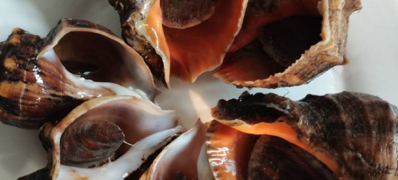 大钦岛家进渔家特色民宿图片