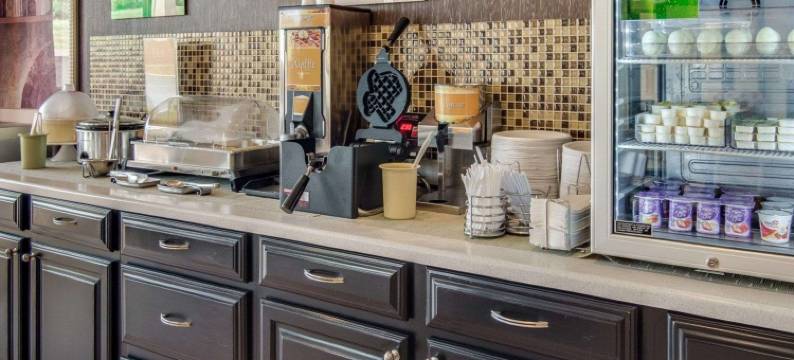 芒特普莱森特凯艺酒店(Quality Inn Mt. Pleasant)图片