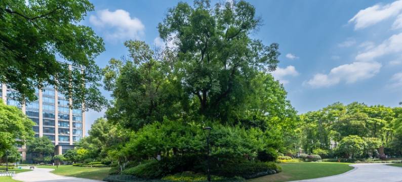 糖屋安静舒适居公寓(余杭塘路分店)图片