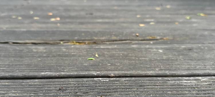 黄松浦林场林涧小院图片