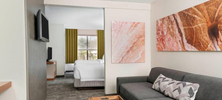 阿什维尔万豪SpringHill酒店(SpringHill Suites Asheville)图片