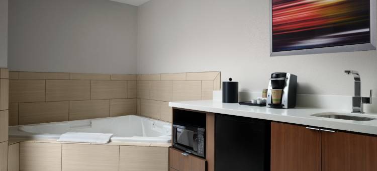 智选假日套房酒店新奥尔良机场(Holiday Inn Express & Suites New Orleans Airport South)图片