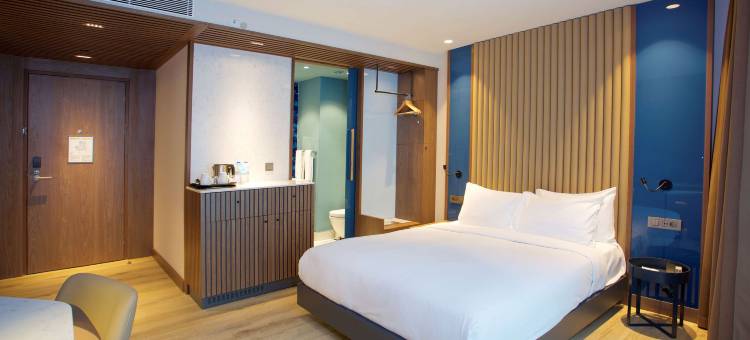 伊斯坦布尔老城希尔顿欢朋酒店(Hampton by Hilton Istanbul Old City)图片