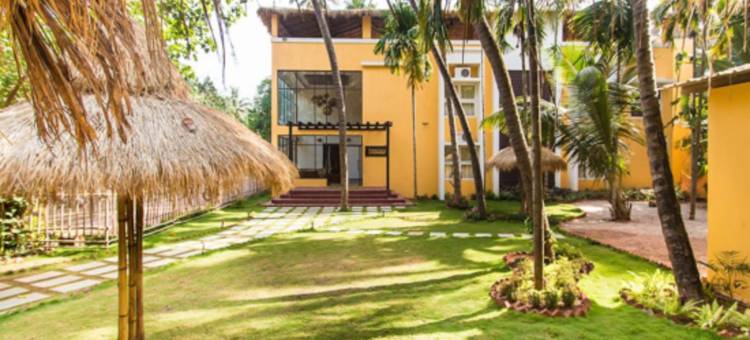 椰林度假酒店(Cocohut Resort)图片