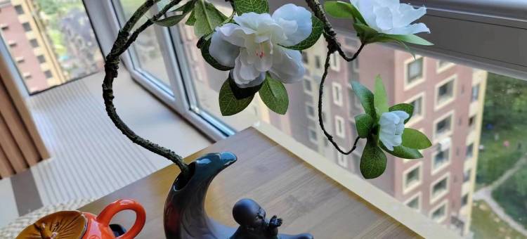 天著晨曦温泉民宿(小小线分店)图片