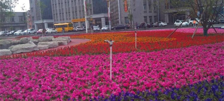 浅墨日租公寓(东山路分店)图片