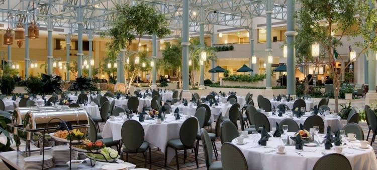 休斯顿北部希尔顿酒店(Hilton Houston North)图片